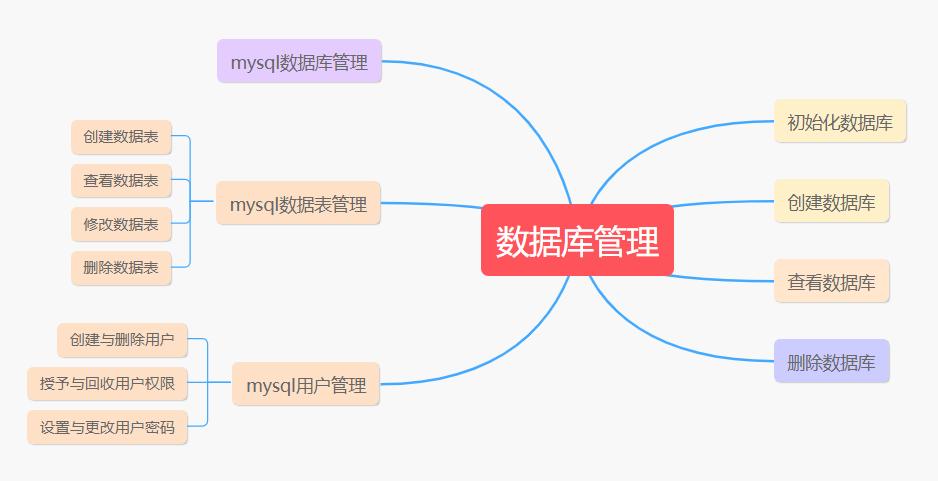 新疆网站建设
